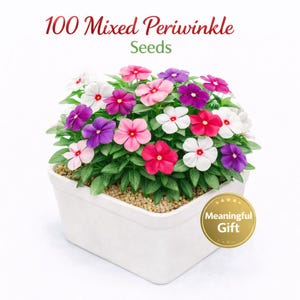 100 semillas de vincapervinca mixtas, fáciles de cultivar, para jardines de interior y exterior, macetas de patio, plantación casera, paquete de inicio para jardines pequeños.