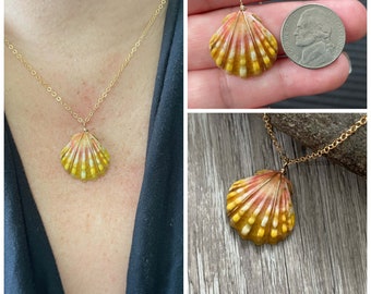 Sunrise Shell Necklace (Nickel size), Gold Fill Necklace, Sunrise Shell Jewelry, Hawaii, Hawaiian Jewelry, Sea Shell, Simply Sparkle Design