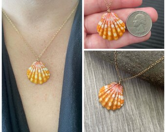 Orange Mottled Tiger Stripe Sunrise Shell Necklace (Quarter size), Gold Fill Necklace, Sunrise Shell Jewelry, Hawaiian Jewelry, Sea Shell