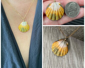 Sunrise Shell Necklace (Nickel size), Gold Fill Necklace, Sunrise Shell Jewelry, Hawaii, Hawaiian Jewelry, Sea Shell, Simply Sparkle Design