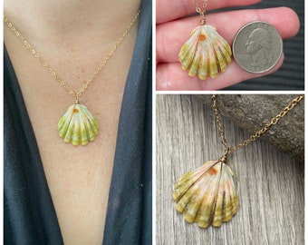 Sunrise Shell Necklace (Quarter size), Gold Fill Necklace, Sunrise Shell Jewelry, Hawaii, Hawaiian Jewelry, Shell, Simply Sparkle Designs