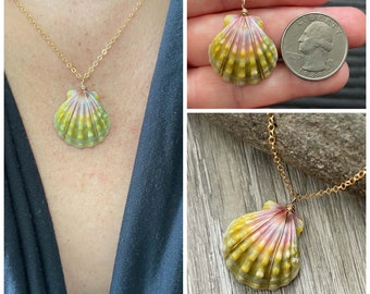 Sunrise Shell Necklace (Quarter size), Gold Fill Necklace, Sunrise Shell Jewelry, Hawaii, Hawaiian Jewelry, Shell, Simply Sparkle Designs