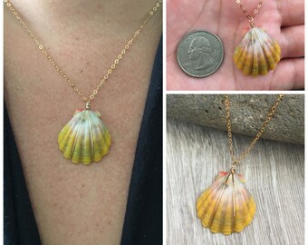 Simply Sparkle Designs Sunrise Shell Necklace Gold Fill Necklace Hawaii SeaShell Hawaiian Jewelry Quarter size Sunrise Shell Jewelry