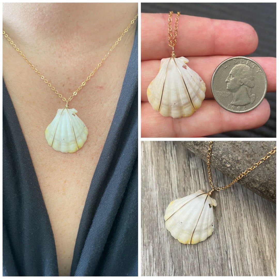 RARE Sunrise Shell Necklace quarter, Gold Fill Necklace, Sunrise Shell ...