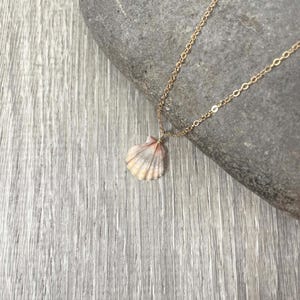 Sunrise Shell Necklace (Dime size), Gold Fill Necklace, Sunrise Shell Jewelry, Hawaii, Hawaiian Jewelry, Sea Shell, Simply Sparkle Design