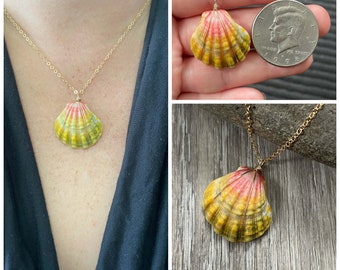 Sunrise Shell Necklace (Half Dollar size), Gold Fill Necklace, Sunrise Shell Jewelry, Hawaiian Jewelry, Sea Shell, Simply Sparkle Design