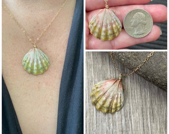 Sunrise Shell Necklace (Quarter size), Gold Fill Necklace, Sunrise Shell Jewelry, Hawaii, Hawaiian Jewelry, Shell, Simply Sparkle Designs