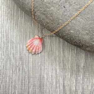 Sunrise Shell Necklace (Penny size), Handcrafted Hawaiian Shell Jewelry, Hawaii Themed Jewelry, Seashell Jewelry, Sunrise Shells Jewelry