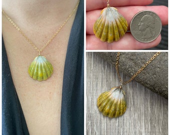 Moonrise Shell Necklace (Quarter size), Gold Fill Necklace, Sunrise Shell Jewelry, Hawaiian Jewelry, Hawaii Sea Shell, Moonrise Necklace