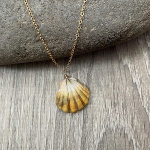 May include: A gold-colored chain necklace with a seashell pendant. The pendant is a natural seashell with a gold wire wrap and a gradient of yellow and brown hues. The necklace is displayed on a gray stone surface.