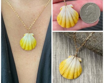 Sunrise Shell Necklace (Quarter size), Handcrafted Hawaiian Shell Jewelry, Hawaiian Seashell Jewelry, Sunrise Shell Necklaces from Hawaii