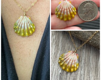 Sunrise Shell Necklace (Quarter size), Gold Fill Necklace, Sunrise Shell Jewelry, Hawaii, Hawaiian Jewelry, Sea Shell, Simply Sparkle Design