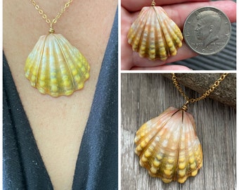 Sunrise Shell Necklace (Half Dollar size), Gold Fill Necklace, Sunrise Shell Jewelry, Hawaiian Jewelry, Sea Shell, Simply Sparkle Design