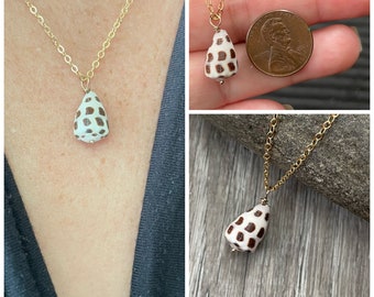 Hebrew Cone Shell Necklace, Seashell Necklace, Small Hebrew Hawaiian Cone Shell, Hawaii Beach Jewelry, Gift Idea For Her, Mermaid Fashion