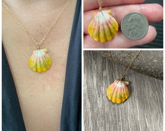 Sunrise Shell Necklace (Nickel size), Hawaiian Sunrise Shell, Seashell Jewelry, Hawaii Handmade Jewelry, Handcrafted Hawaiian Shell Jewelry