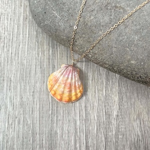 Sunrise Shell Necklace (Half Dollar size), Gold Fill Necklace, Sunrise Shell Jewelry, Hawaiian Jewelry, Sea Shell, Simply Sparkle Design