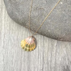 Sunrise Shell Necklace (Half Dollar size), Handcrafted Hawaiian Shell Jewelry, Hawaiian Sunrise Shell, Seashell Nature Jewelry, Hawaii Theme