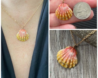 Sunrise Shell Necklace (Nickel size), Gold Fill Necklace, Sunrise Shell Jewelry, Hawaii, Hawaiian Jewelry, Sea Shell, Simply Sparkle Design