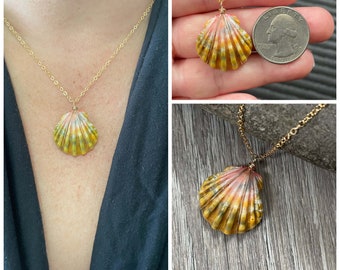 Sunrise Shell Necklace (Quarter size), Gold Fill Necklace, Sunrise Shell Jewelry, Hawaii, Hawaiian Jewelry, Shell, Simply Sparkle Designs