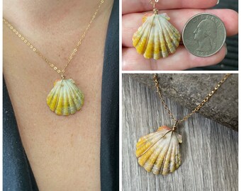 Sunrise Shell Necklace (Quarter size), Handcrafted Hawaiian Shell Jewelry, Hawaii Made Jewelry, Sunrise Shell Necklaces from Hawaii, Shell