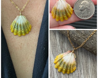 Moonrise Shell Necklace (Quarter size), Gold Fill Necklace, Sunrise Shell Jewelry, Hawaiian Jewelry, Hawaii Sea Shell, Moonrise Necklace