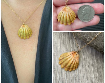 Sunrise Shell Necklace (Quarter size), Gold Fill Necklace, Sunrise Shell Jewelry, Hawaii, Hawaiian Jewelry, Sea Shell, Simply Sparkle Design