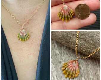 Sunrise Shell Necklace (Penny size), Handmade Jewelry Made in Hawaii, Handcrafted Hawaiian Shell Jewelry, Sunrise Shell Necklaces Hawaii