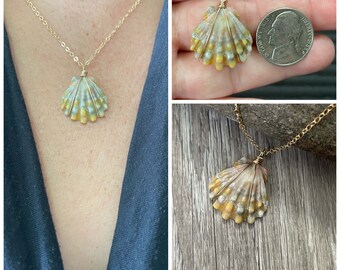 Sunrise Shell Necklace (Nickel size), Gold Fill Necklace, Sunrise Shell Jewelry, Hawaii, Hawaiian Jewelry, Sea Shell, Simply Sparkle Designs