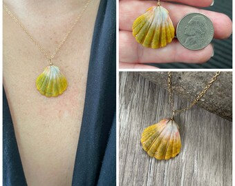 Sunrise Shell Necklace (Nickel size), Gold Fill Necklace, Sunrise Shell Jewelry, Hawaii, Hawaiian Jewelry, Sea Shell, Simply Sparkle Design