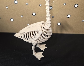 Könnte beinhalten: Ein beiges, bewegliches anatomisches Modell eines Gänseskeletts. Die Figur zeigt einen detaillierten Schädel, einen langen Hals aus einzelnen Wirbeln, einen Brustkorb und Schwimmfüße, alles gefertigt aus einem hellen, matten Material.