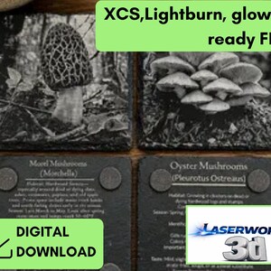 slate coaster Wild Mushroom Foraging set of 4 coasters files