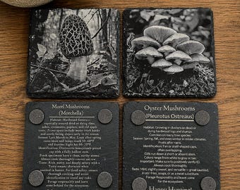 slate coaster Wild Mushroom Foraging set of 4 coasters with 3d printed base.