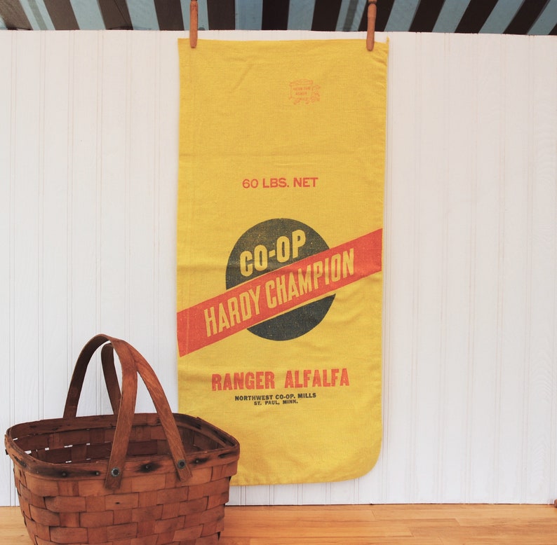 1950s seed bag, Hardy Champion Co-op alfalfa seed bag, Northwest Co-op St. Paul Minn image 2