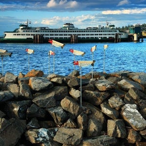 Iconic Seattle Ferry Photography: Vibrant, Unedited Colors with Fish in the Foreground – A Perfect Piece for Your Wall Decor
