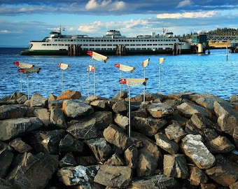 Seattle Ferry Photography Print: Puget Sound Fish Art