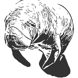 Manatee SVG cut file