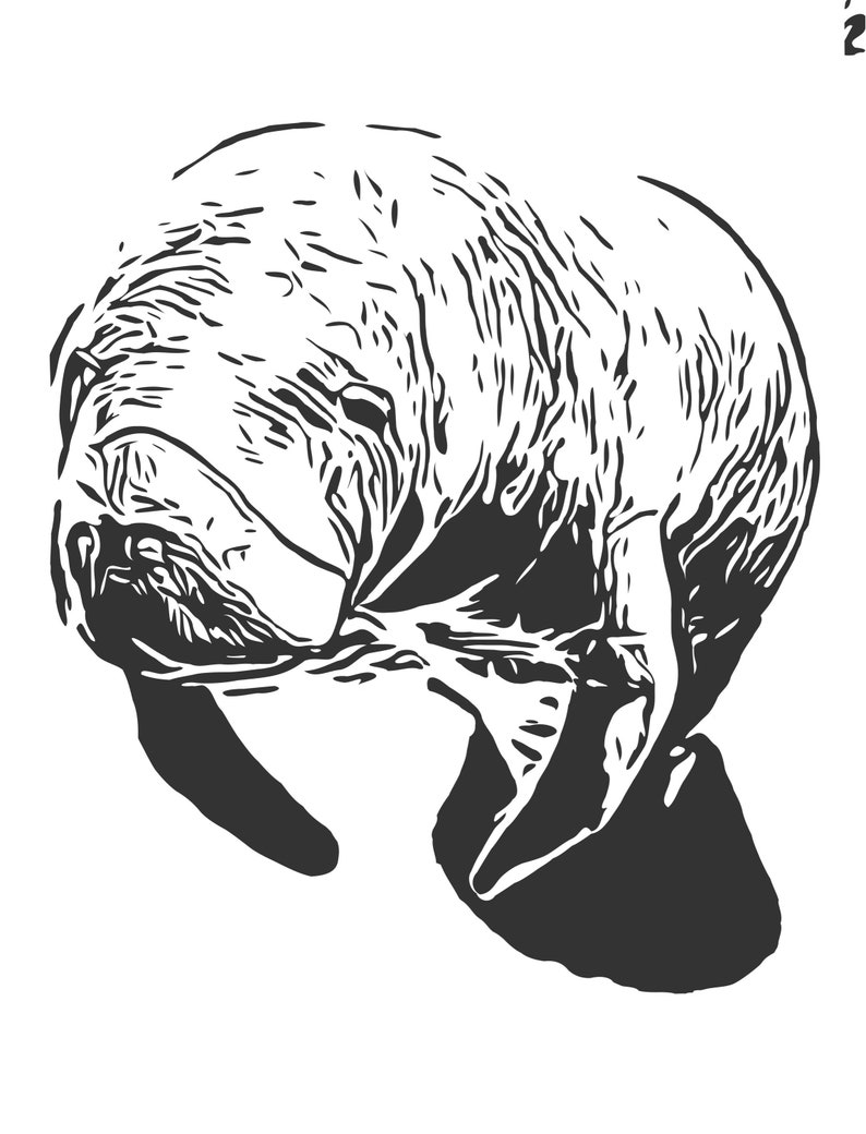 Manatee SVG Cut File - Etsy