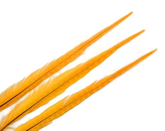 10 Pieces - 18-22" Golden Yellow Bleached and Dyed Long Ringneck Pheasant Tail Feathers Costume Halloween Wedding Craft Supply : 4135