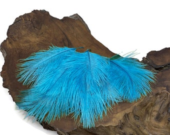 Mini Feathers, Wholesale Pack - Turquoise Blue Small Ostrich Confetti Feathers (Bulk) Doll Costume Craft Supply : 3409