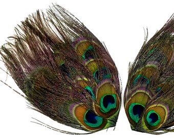 Peacock Feather Pad, 1 Piece - Natural Iridescent Green Uncut Peacock Eye Handmade Feather Pad : 1178