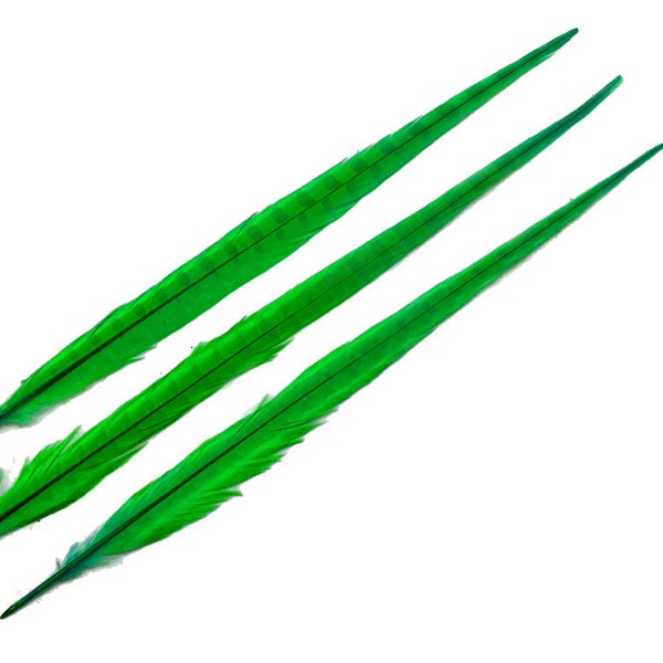 Pheasant Feathers, 10 Pieces - 18-22" Bright Green Bleached and Dyed Long Ringneck Pheasant Tail Feathers : 4174