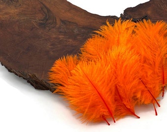 Mini Plumes d’autruche, 1 Pack - Orange Autruche Small Confetti Feathers 0.3 Oz Fly Tying Wedding Craft Supply: 1144