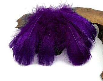 Goose Feathers, 1/4 Lb. - Purple Goose Coquille 2-3" Loose Wholesale Feathers (Bulk) Halloween Wedding Carnival Supply : 3957