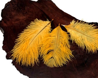 Small Ostrich Feathers, 1 Pack - Golden Yellow Ostrich Small Confetti Feathers 0.3 Oz Fly Tying Wedding Craft Supply : 5018