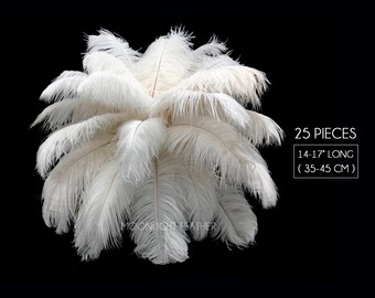 feathers etsy