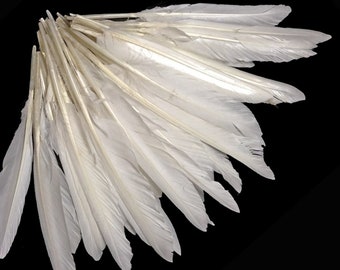 1 Pack Black Tipped White Duck Pointer Feathers 0.50 Oz Imitation Eagle Hawk