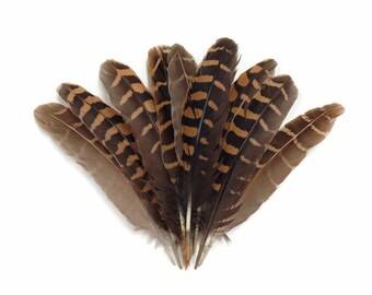 feathers for sale