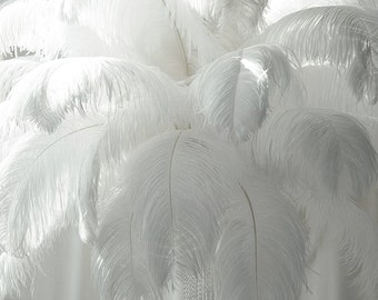 large white feathers wholesale