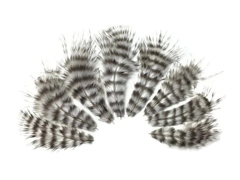 Small Feathers, 1 Dozen Natural Grizzly Rooster Chickabou Whiting Farm Superbou Fluff Feathers : 641 image 1