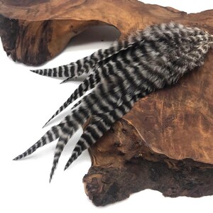 Rooster Feathers, 1 Dozen - Medium Grey Dun Grizzly Rooster Saddle Whiting Hair Extension Feathers Fly Tying Supplier: 828